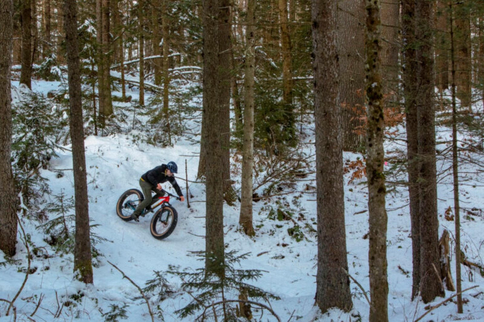 MTB Fatbike / Plus Size