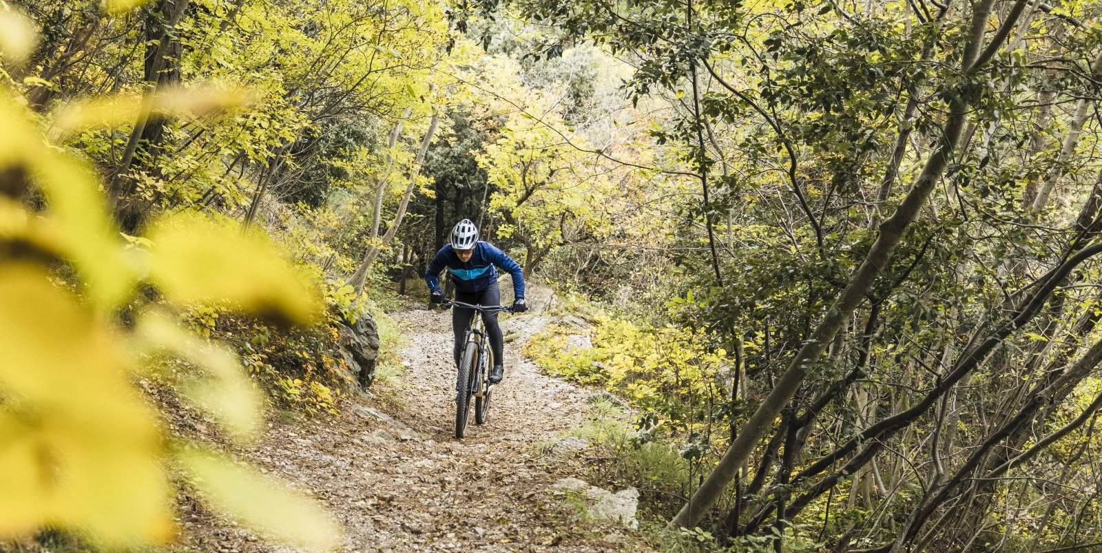 E-Mountainbike Hardtail