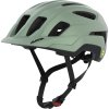 ALPINA Sports PARANUS MIPS willow-green matt 59-61
